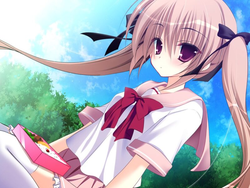 4046【ADV/纯爱大作/汉化】妹调教日记+妹调教日记FD PC+安卓ONS-ACG俱乐部 - 各类游戏免费下载